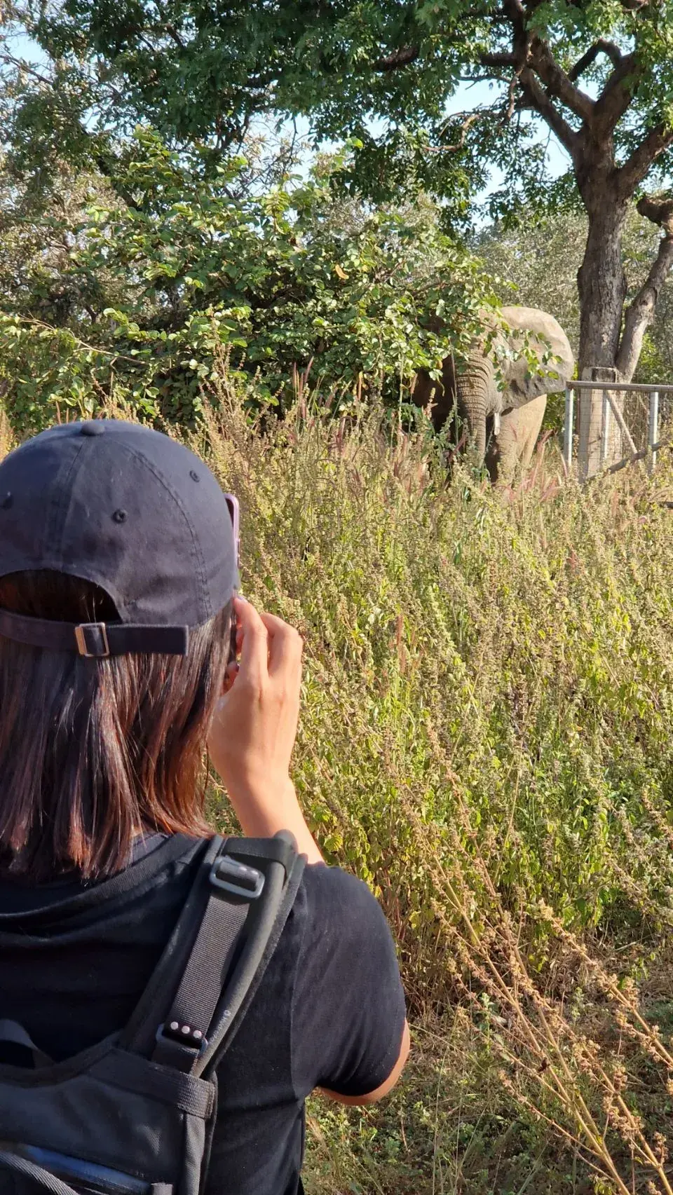 Seen from behind, Max holds up a phone to photograph an elephant standing in long grass and scrub a short distance away, partly screened by leaves.