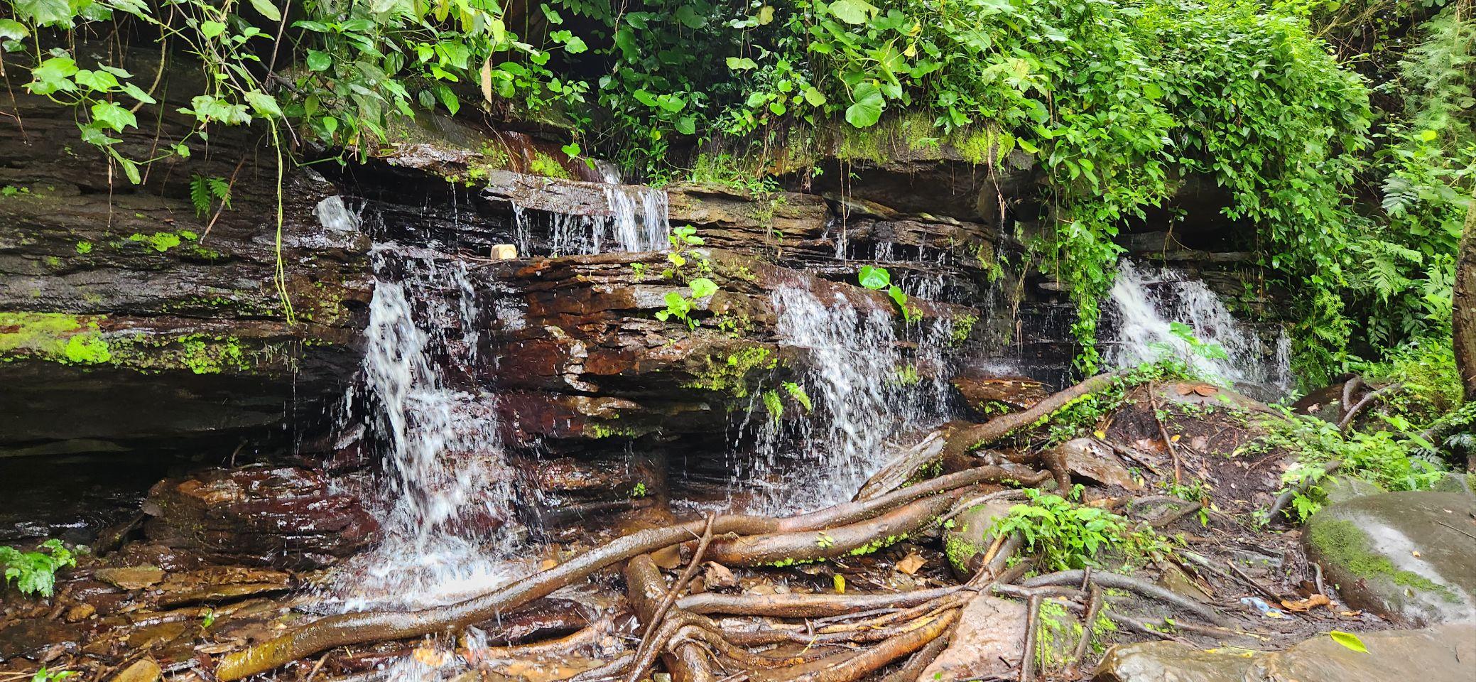 A wide waterfall drops in several channels over layered, moss-covered rock, framed by dense green jungle.