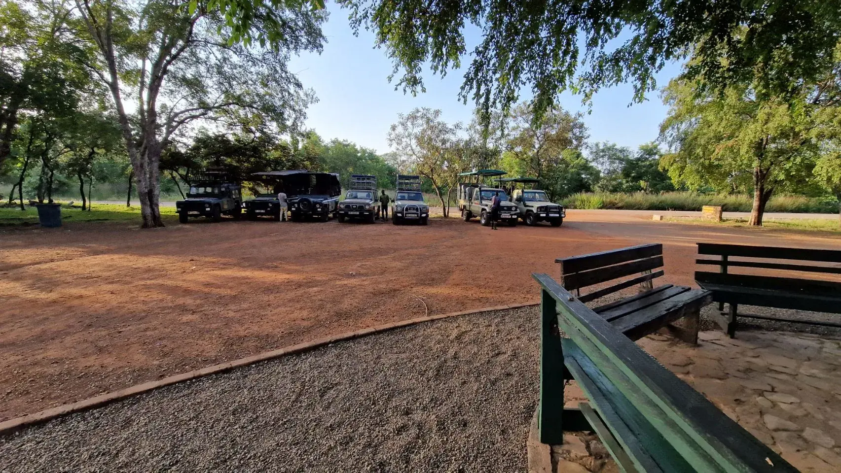 A row of open safari jeeps and Land Cruisers parked on red earth under trees at the Mole tour station, with wooden benches in the foreground.