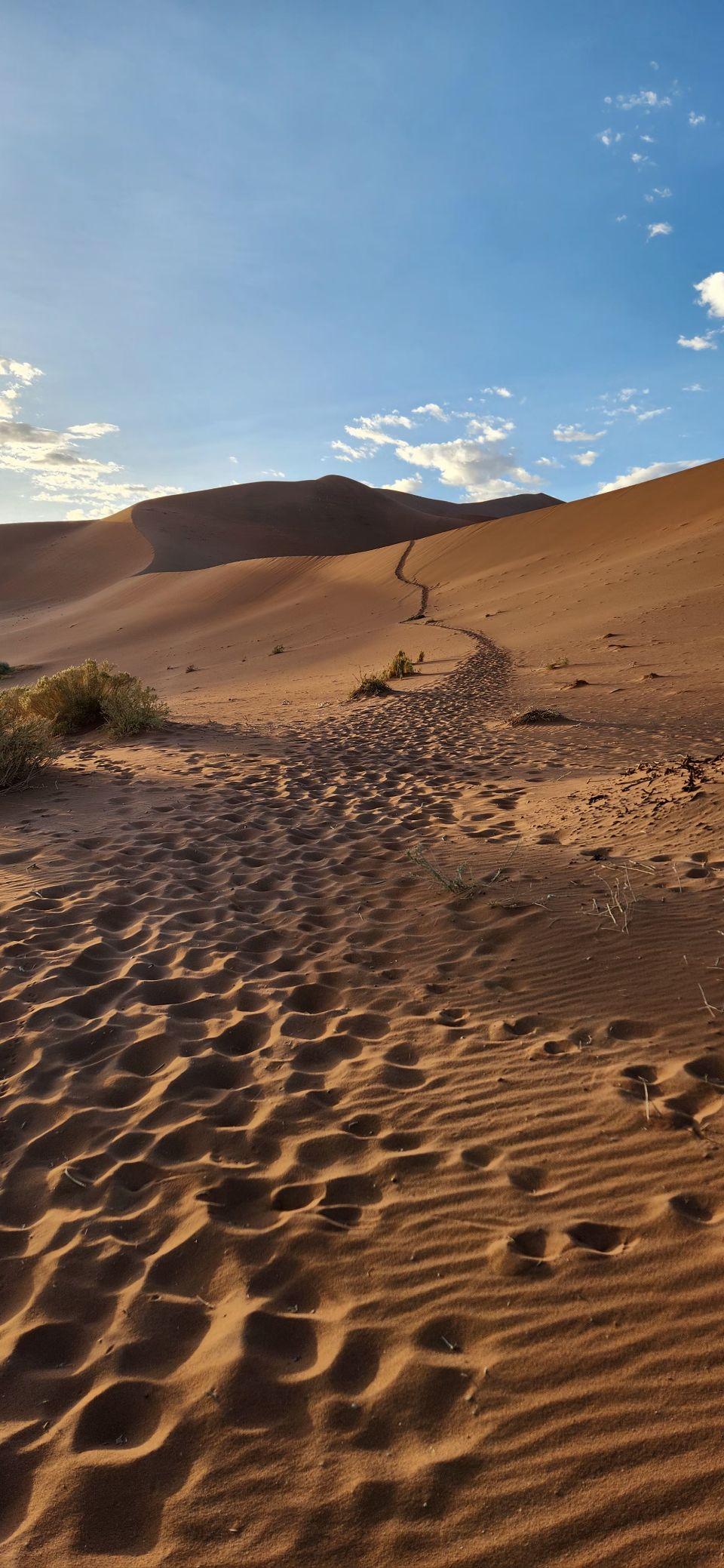 Our own footprints are the only tracks on the ridge of Big Daddy Dune at sunrise.