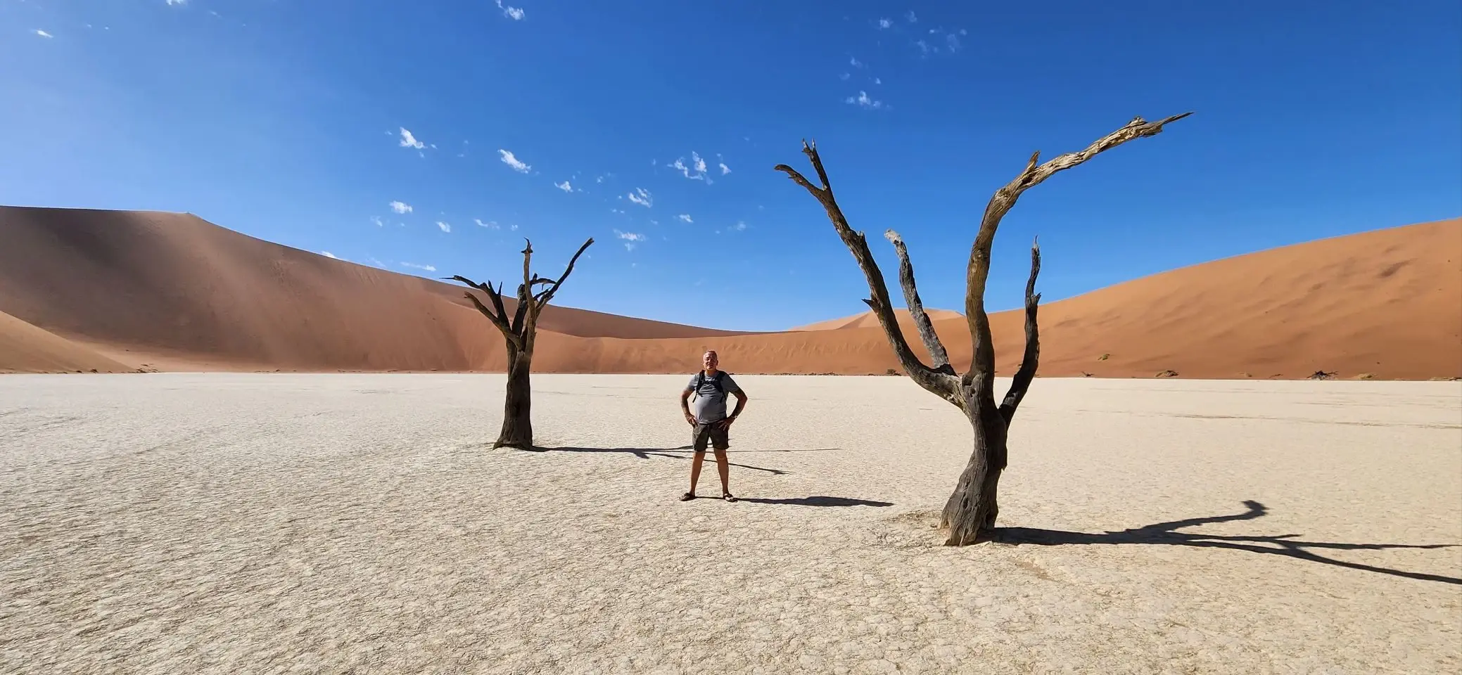 Bare, blackened camelthorn trees standing on a cracked white clay pan, with a walking figure between them and orange dunes behind.